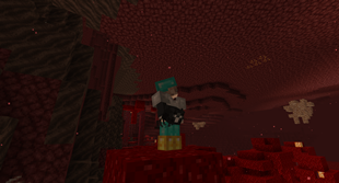 Severed Wither Skull