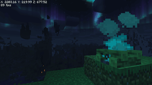 Night time shot