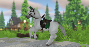 Green and Brown Dressage Set