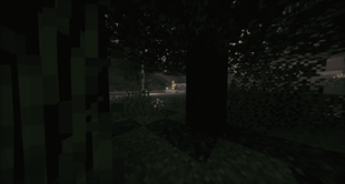 View from environment