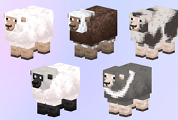 Remodelled Sheep
