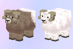Mountain/ Desert Sheep