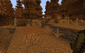 Fall Forest