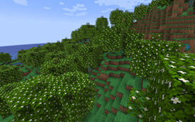 Spring Forest