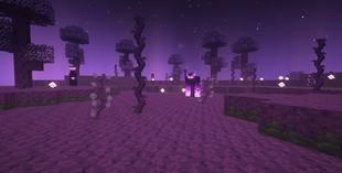 Withered Hollow *Update*