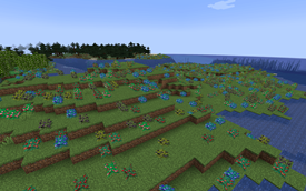 Berry Fields