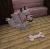 puppy bone!