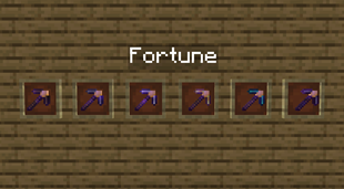 Fortune