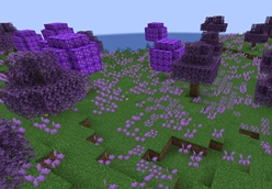 lavender valley