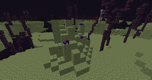 Endermite nest