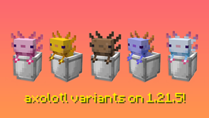 Axolotl Variants
