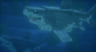 Screenshot by Xinhai