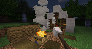 Marshmallow Roasting