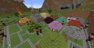 Town