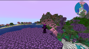 Varied biomes [Update 2.0]