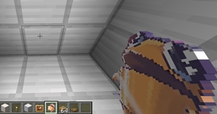 also totem but