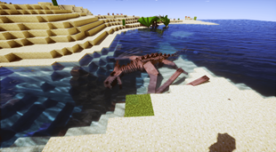Dragon Skeleton