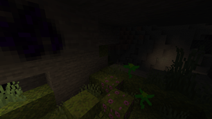 Blunzilyum and Power Plants in a lush cave
