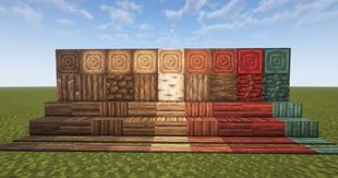 SHOWCASE