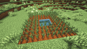 Farmer's delight