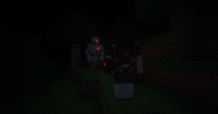 Visuals from Server
