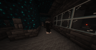 Netherite armor/Heavy Tactical Gear