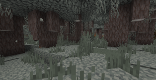 Pale Garden.png