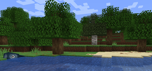 Forest.png