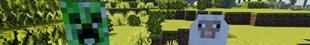 banner.jpg