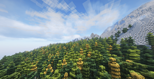 Mountain with forest