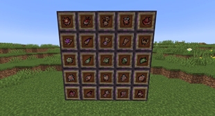 Genshin Impact Artifacts