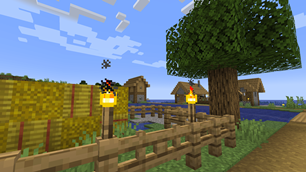 Torch.png