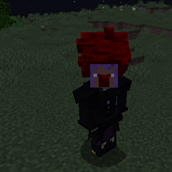 clown hair.png