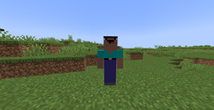 Minecraft Noob Bot
