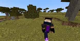 Pro Bot