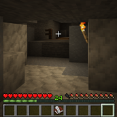 xp bar removed.png