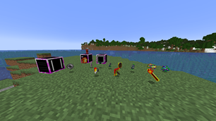 Blocks and Items