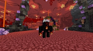 nether.jpg