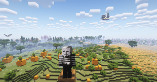 A landscape