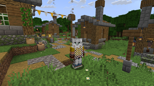 Chainmail Armour