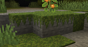 Moss Overhang