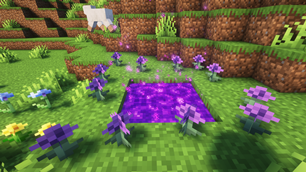 Twilight Forest