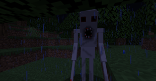 The Watcher close-up