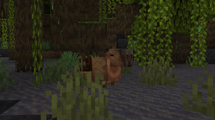 Capybara's in a Swamp