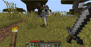 The Watcher chasing