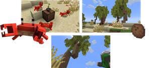 Beach Biome