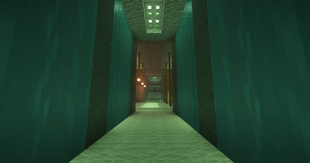 Visuals from Server