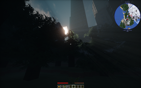 forest