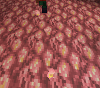 IMG_20250424_233132.png
