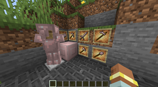 rose-gold amor and tools